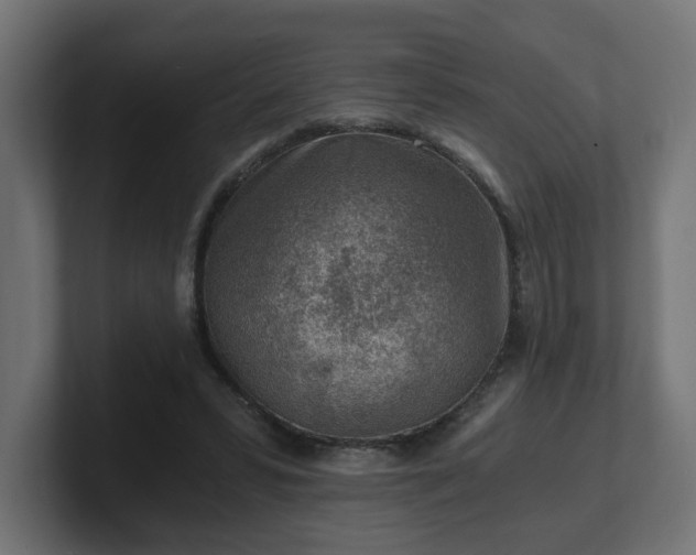 X0000101650399200807171257