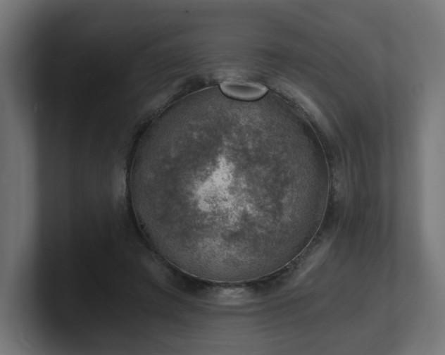 X0000101650401200807171257