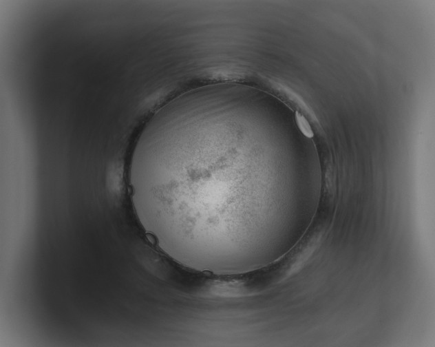 X0000101650403200807171257