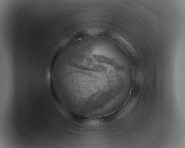 X0000101650405200807171257