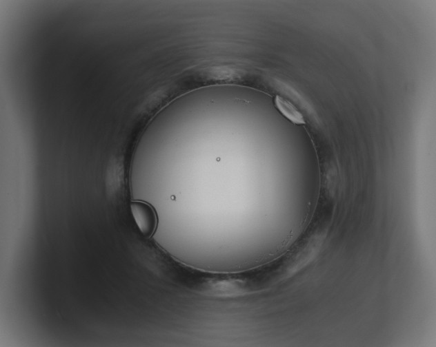 X0000101650407200807171257