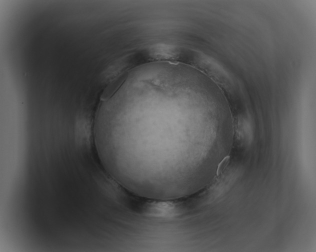 X0000101650409200807171257