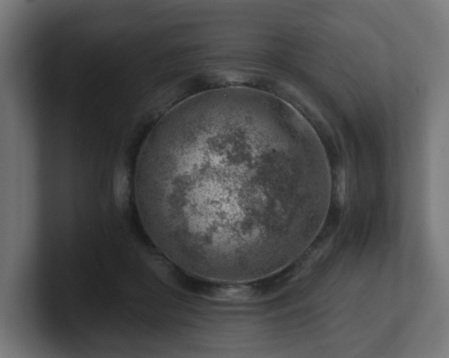 X0000101650410200807171257