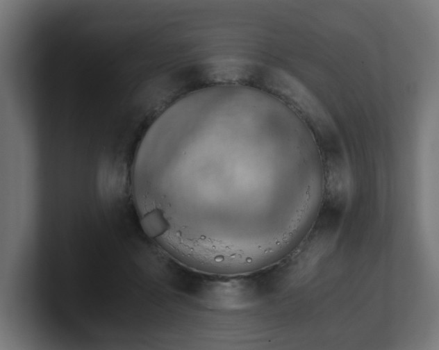 X0000101650411200807171257