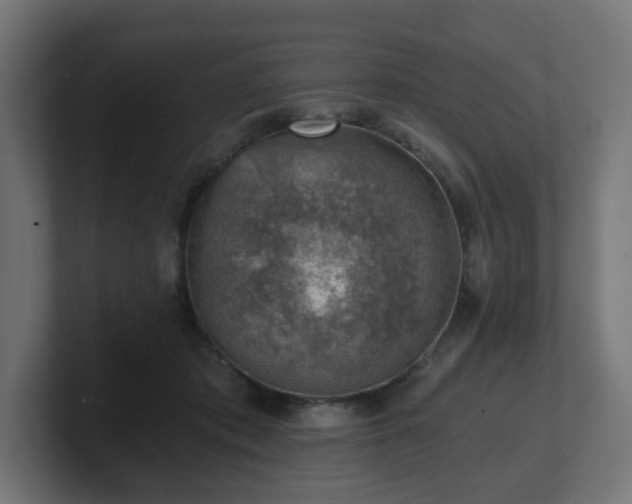 X0000101650413200807171257