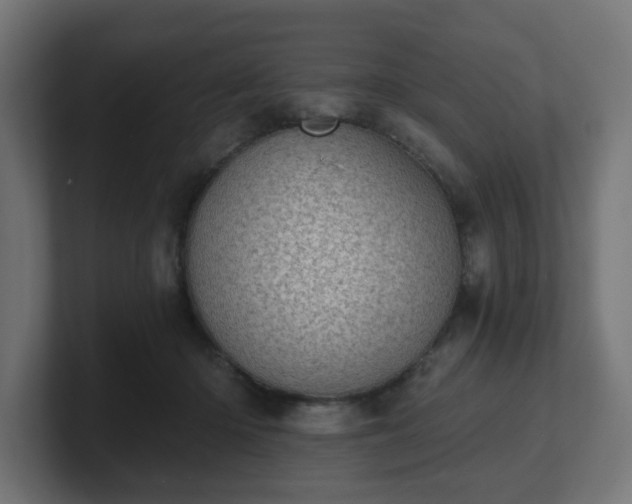 X0000101650414200807171257