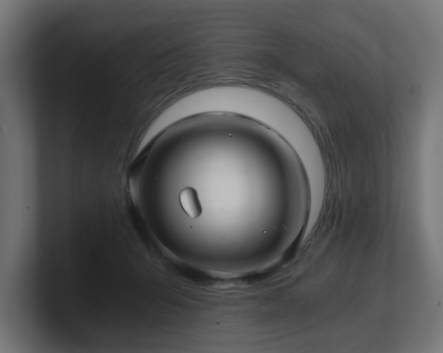 X0000101650415200807171257