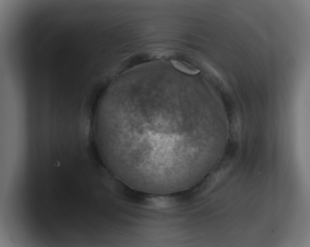 X0000101650417200807171257