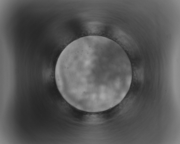 X0000101650419200807171257