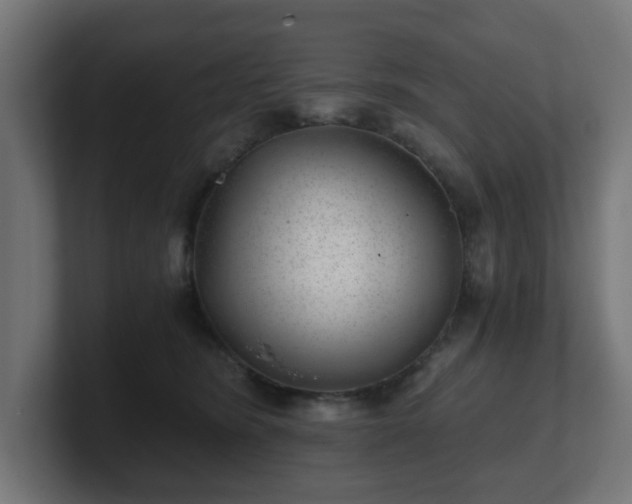 X0000101650420200807171257