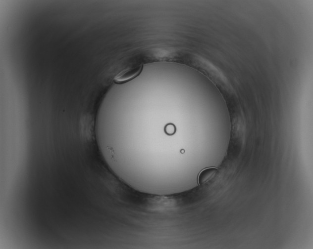 X0000101650421200807171257