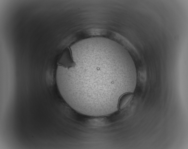 X0000101650422200807171257