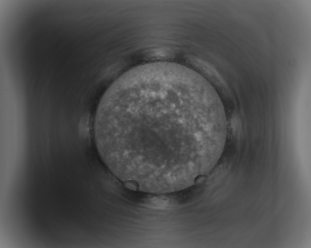 X0000101650423200807171257