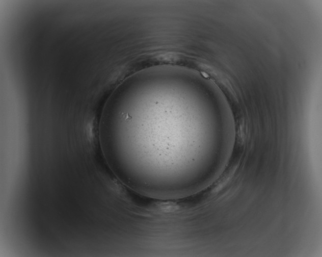 X0000101650424200807171257