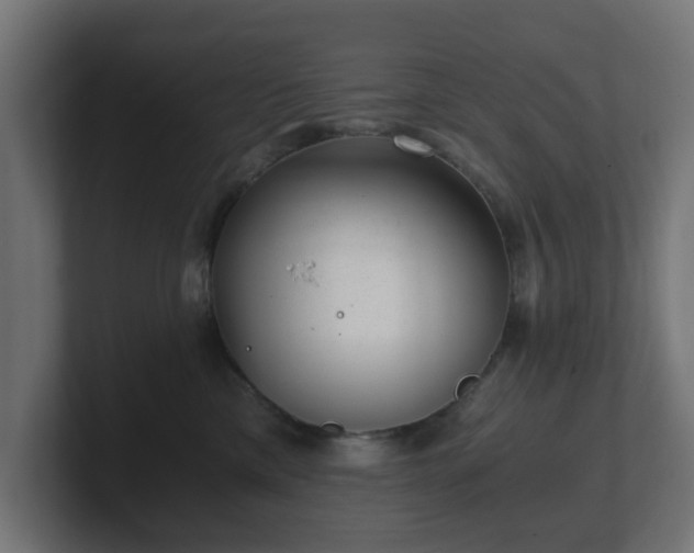 X0000101650425200807171257