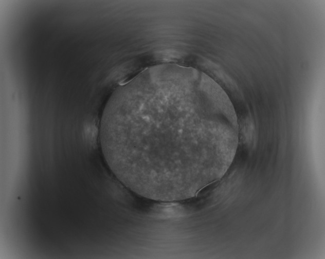 X0000101650427200807171257