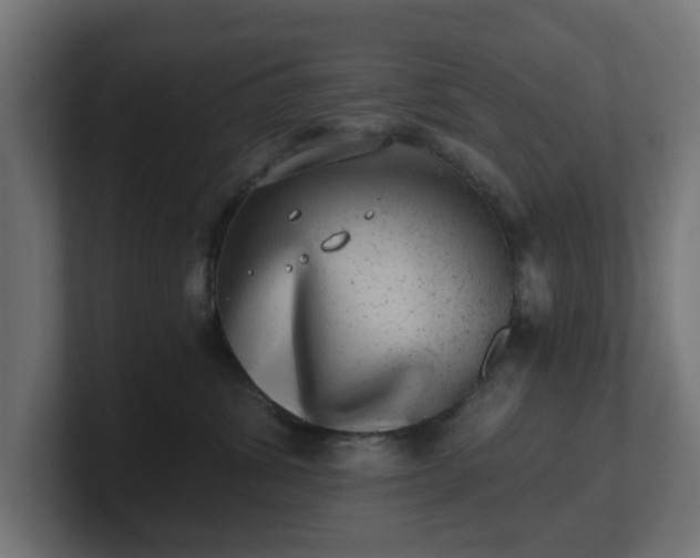 X0000101650428200807171257