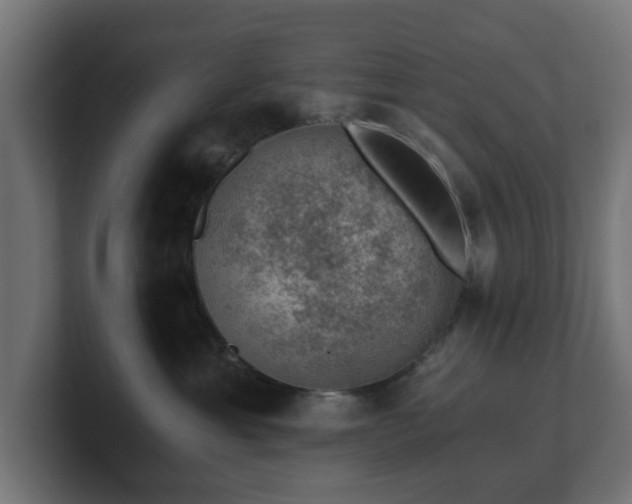 X0000101650429200807171257