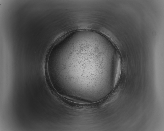 X0000101650434200807171256