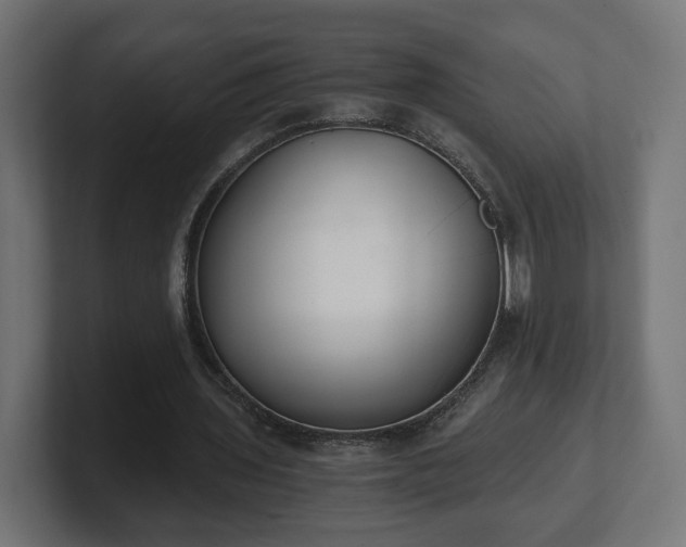 X0000101650435200807171256