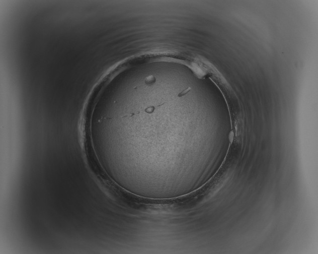 X0000101650436200807171256