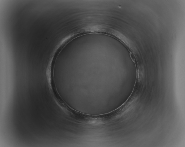 X0000101650438200807171256