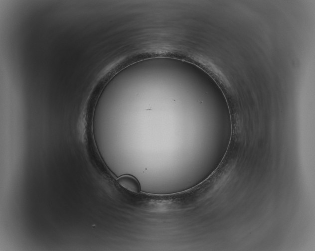 X0000101650440200807171256