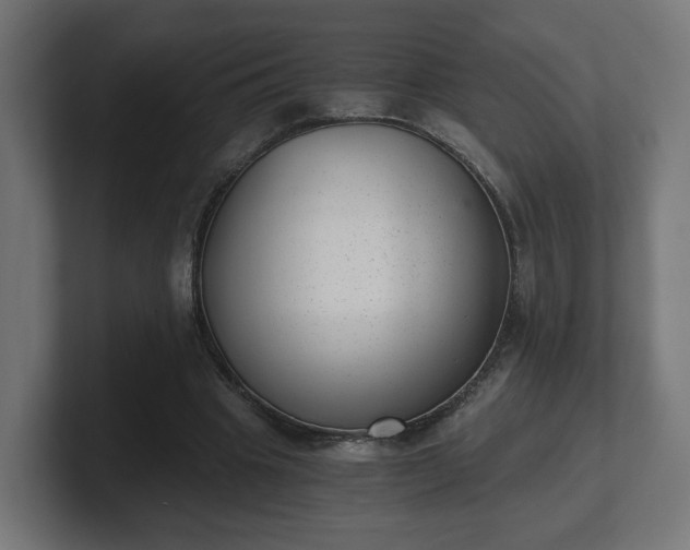 X0000101650441200807171256