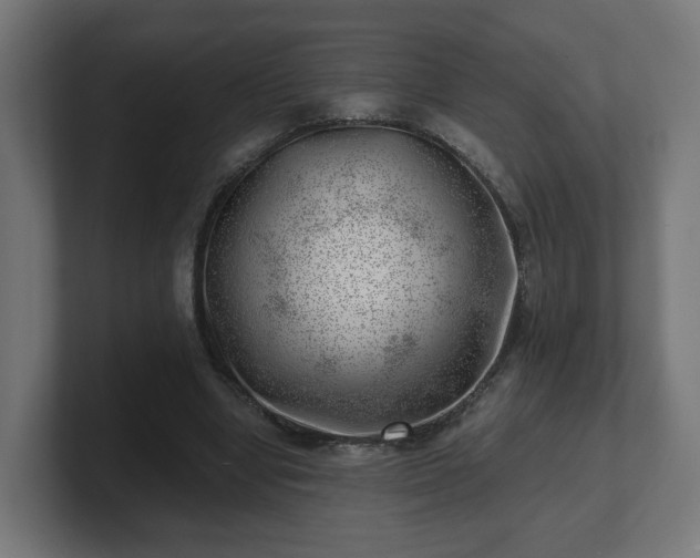 X0000101650442200807171256