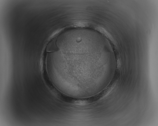 X0000101650444200807171256