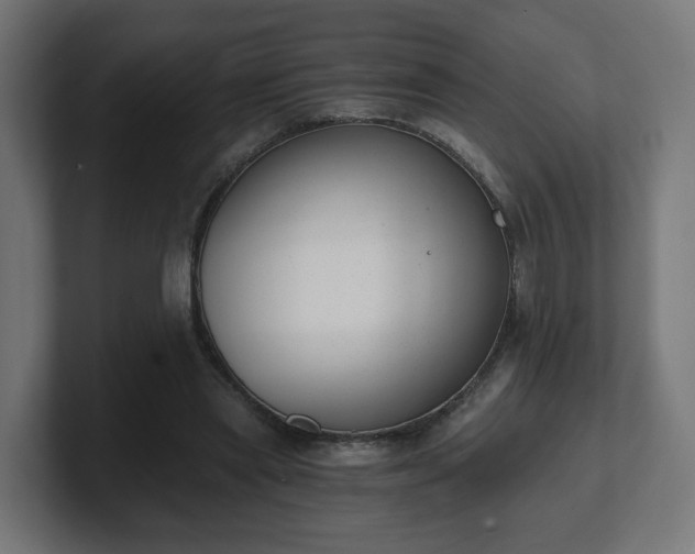 X0000101650445200807171256