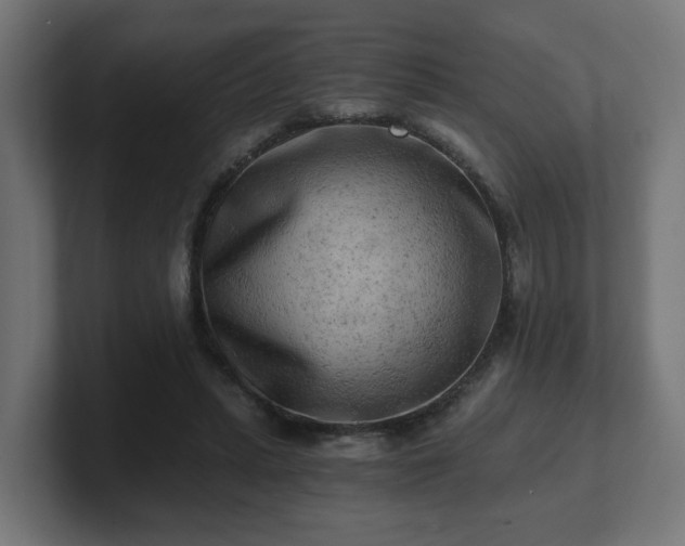 X0000101650447200807171256