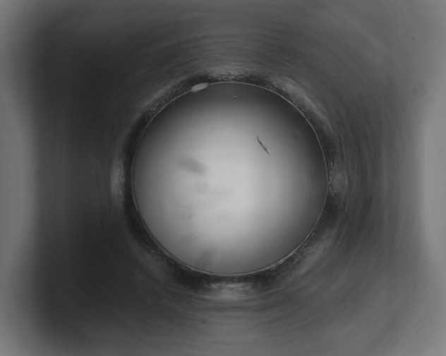 X0000101650448200807171256