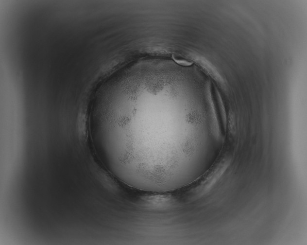 X0000101650449200807171256