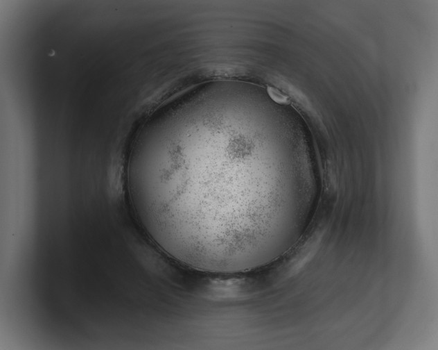 X0000101650450200807171256