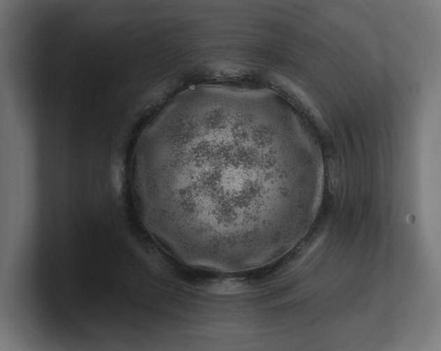 X0000101650451200807171256