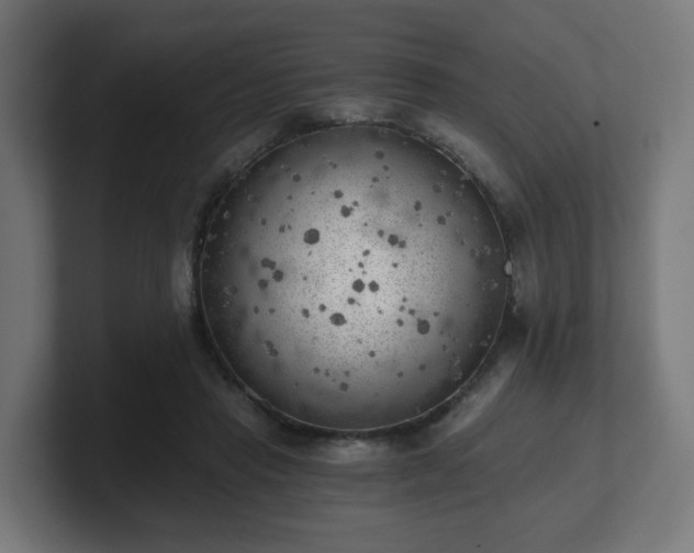 X0000101650453200807171256