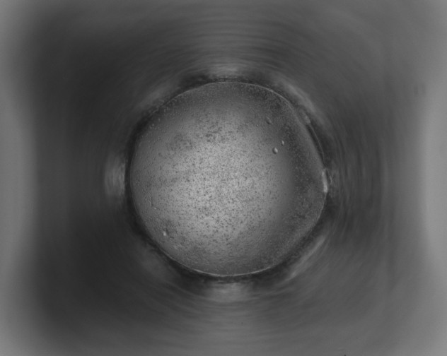 X0000101650454200807171256