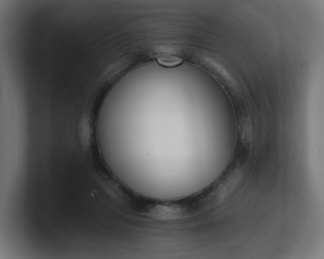 X0000101650455200807171256