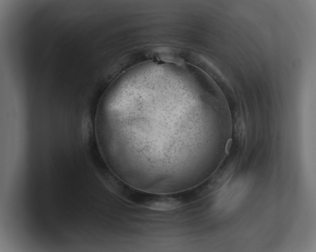 X0000101650459200807171257