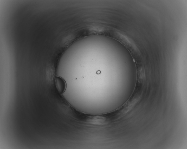 X0000101650463200807171257