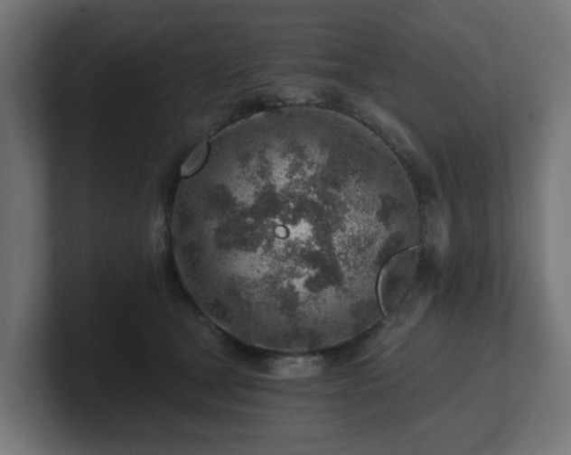 X0000101650465200807171257