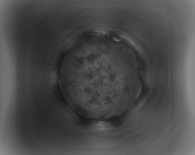 X0000101650467200807171257