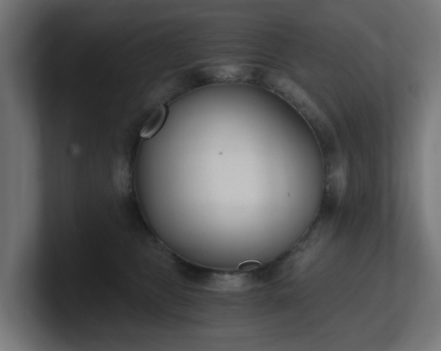 X0000101650469200807171257