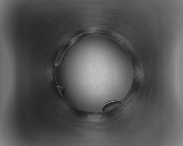 X0000101650470200807171257