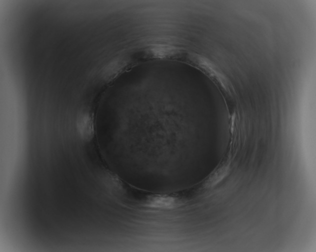 X0000101650471200807171257