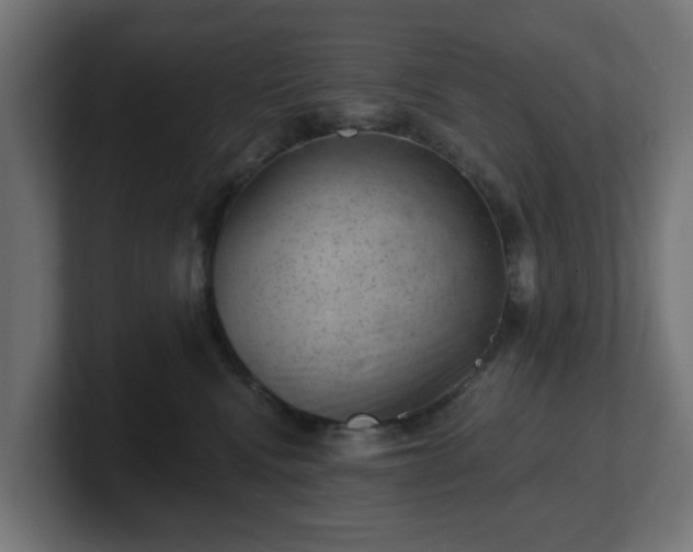 X0000101650472200807171257