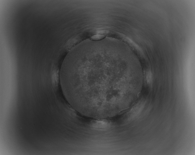 X0000101650475200807171257