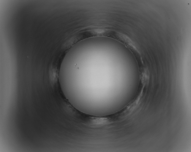 X0000101650476200807171257