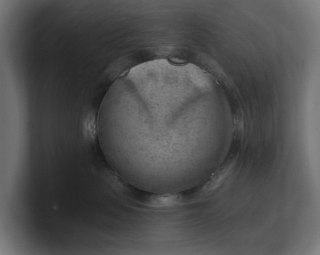 X0000101650479200807171257